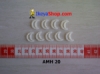 AMH 20 medium.jpg